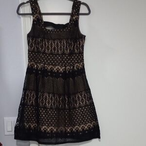 Fishbowl Black Lace Mini Dress with Nude Lining
